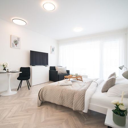 City Relax Apartments With Free Parking, 10 Mins Walk To City Centre ブルノ エクステリア 写真