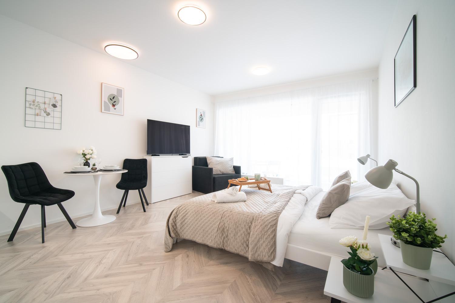 City Relax Apartments With Free Parking, 10 Mins Walk To City Centre ブルノ エクステリア 写真