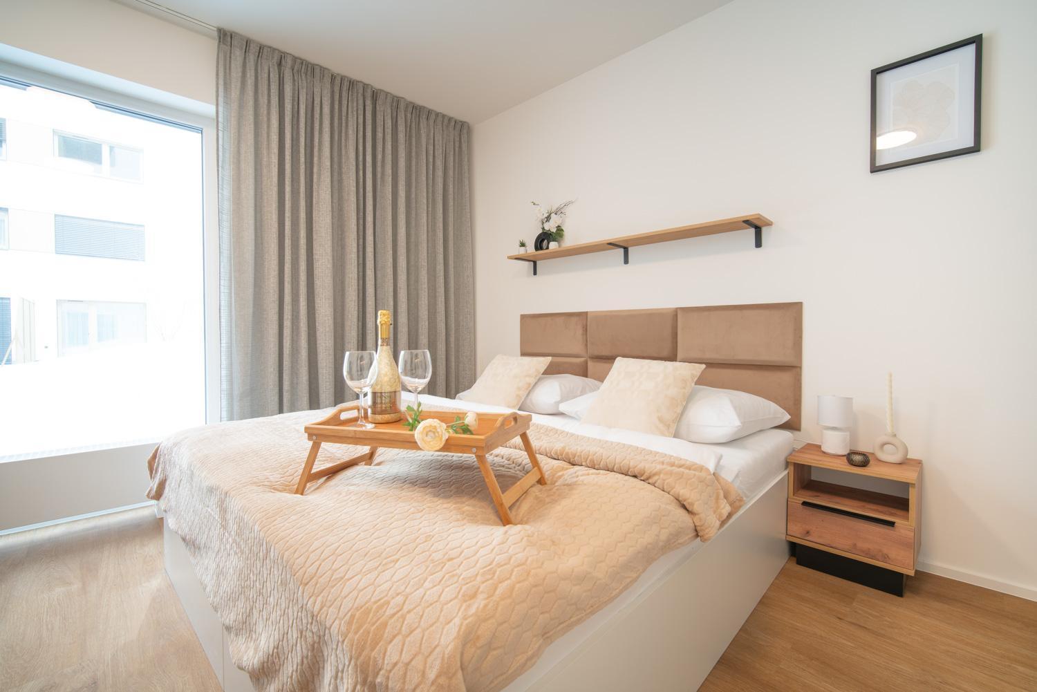 City Relax Apartments With Free Parking, 10 Mins Walk To City Centre ブルノ エクステリア 写真