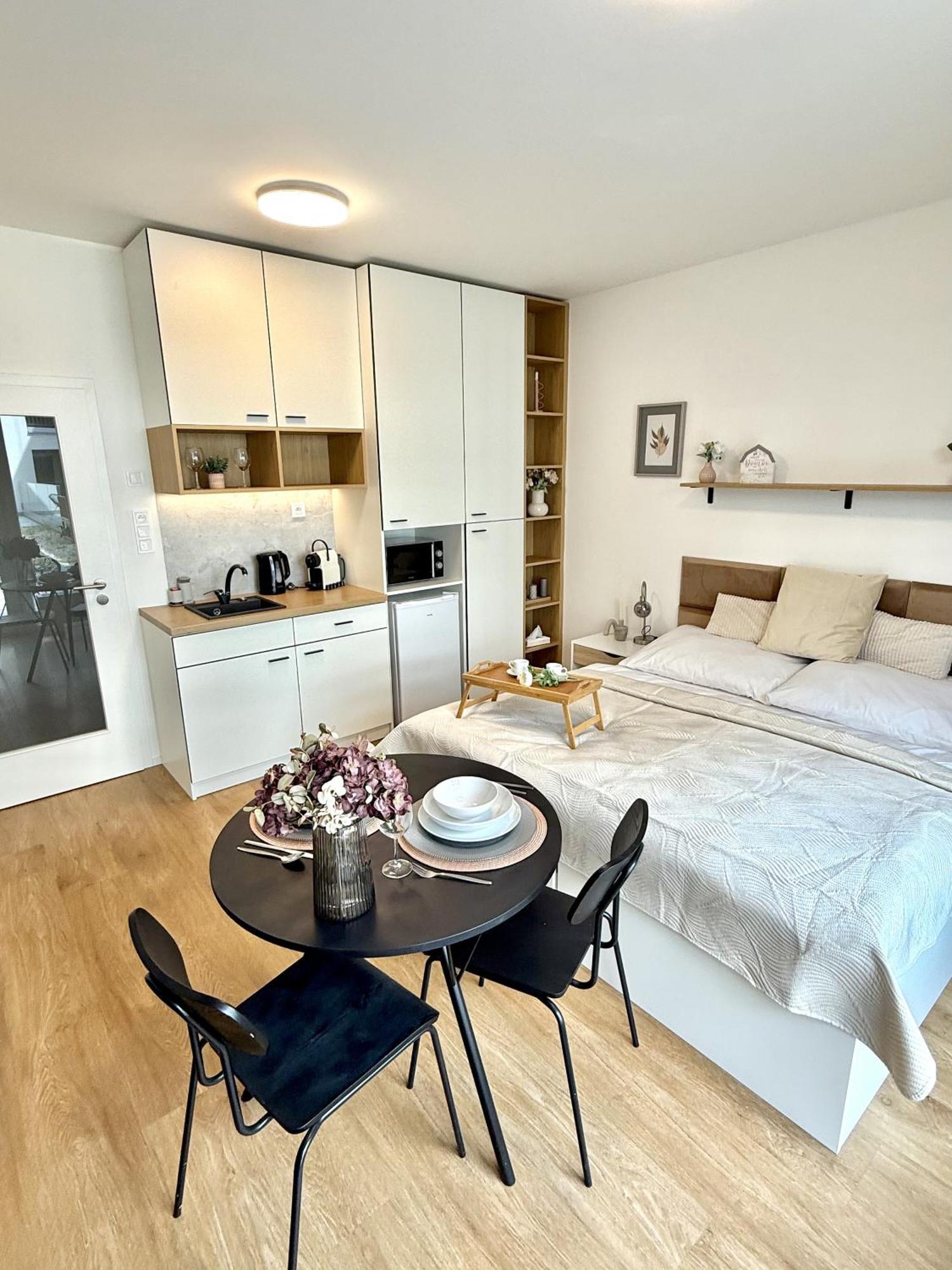 City Relax Apartments With Free Parking, 10 Mins Walk To City Centre ブルノ エクステリア 写真